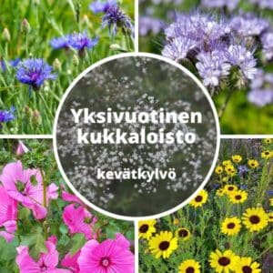 Yksivuotinen kukkaloisto (kevätkylvö) – tuotekuva, jossa kukkakollaasi ja keskellä teksti “Yksivuotinen kukkaloisto".